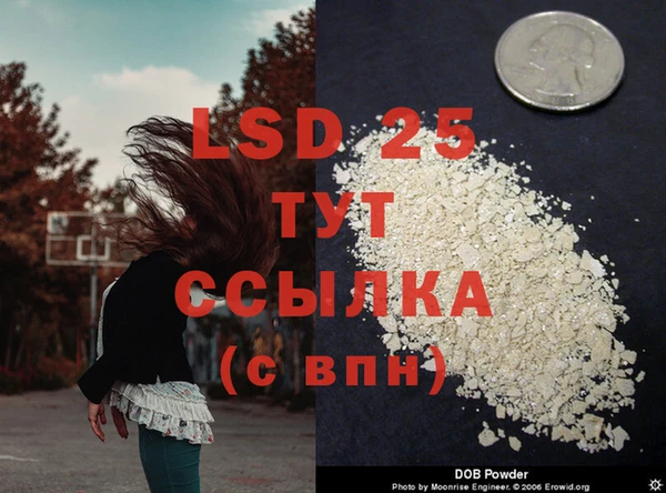 PSILOCYBIN Пересвет