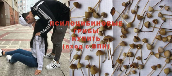 амф Пестово