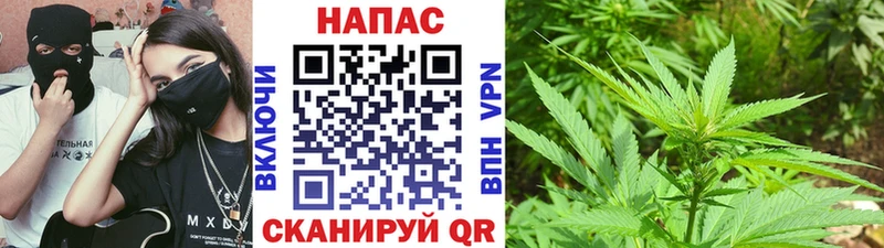 МАРИХУАНА планчик  цены наркотик  Подольск 